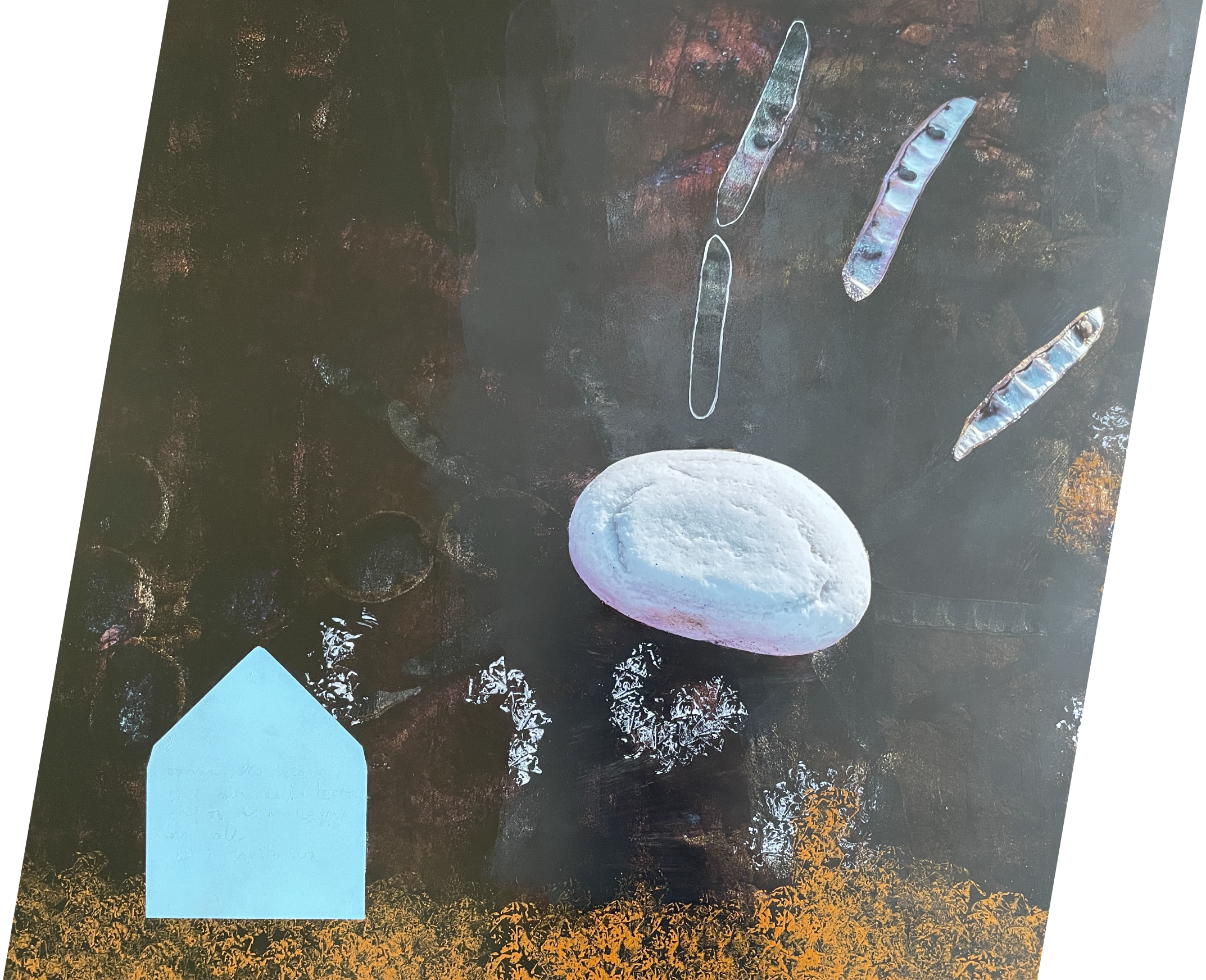 Jedlitschka_Chiara_Fiorini_01_Website Graphic